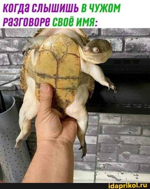 КОГДа СЛЫШИШЬ В ЧУЖОМ РаЗГОВОРВ СВОВ ИМЯ: