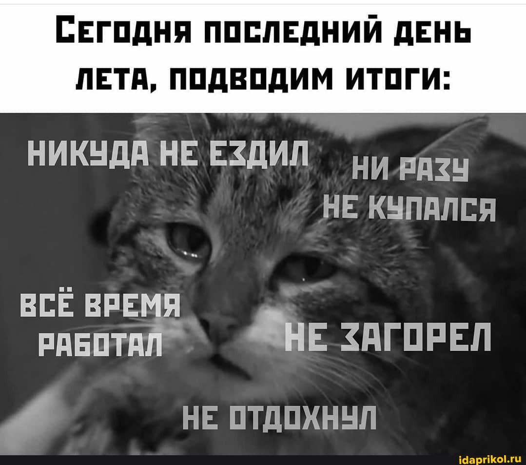 СЕГОДНЯ ПОСЛЕДНИЙ ДЕНЬ ЛЕТА, ПОДВОДИМ ИТОГИ:
НИКУДЯ НЕ ЕЗДИЛ" ни
НЕ КУПАЛСЯ
ВСЁ ВРЕМЯ ВЕ ЗАГОРЕЛ
НЕ ОТДОХНУЛ