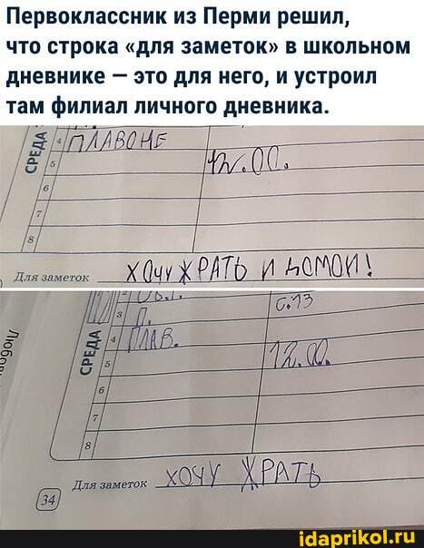 Первоклассник из Перми решил,
что строка "для заметок" в школьном дневнике - это для него, и устроил там филиал личного дневника.