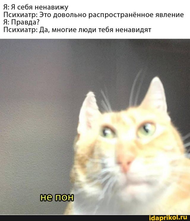 Я: Я себя ненавижу
Психиатр: Это довольно распространённое явление
Я: Правда?
Психиатр: Да, многие люди тебя ненавидят