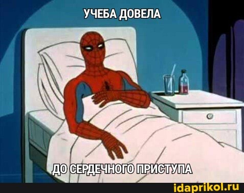 УЧЕБА ДОВЕЛА
ДО СЕРДЕЧНОГО ПРИСТУПА