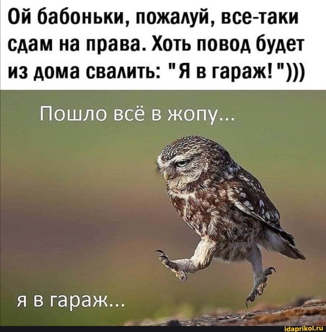 Ой бабоньки, пожалуй, все-таки сдам на права. Хоть повод будет
из дома свалить: "Я в гараж!
Пошло всё в жопу...
я в гараж...