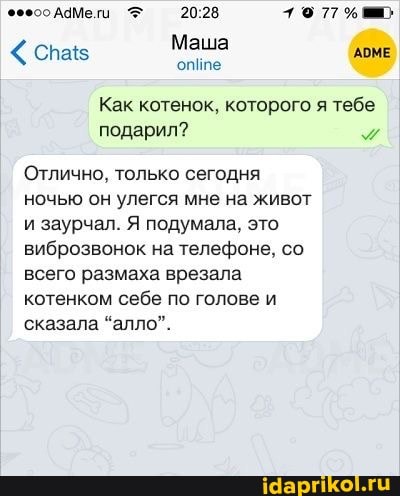 77
Маша
< спав Маша ма
Как котенок, которого я тебе подарил?
Отлично. только сегодня ночью он улегся мне на живот и заурчал. Я подумала, это виброзвонок на телефоне, со всего размаха врезала котенком себе по голове и сказала "алло".