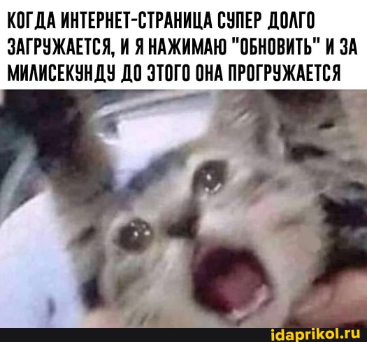 КОГДА ИНТЕРНЕТ-СТРАНИЦА СУПЕР ДОЛГО ЗАГРУЖАЕТСЯ, И Я НАЖИМАЮ "ОБНОВИТЬ" И ЗА МИЛИСЕКУНДУ ДО ЭТОГО ОНА ПРОГРУЖАЕТСЯ