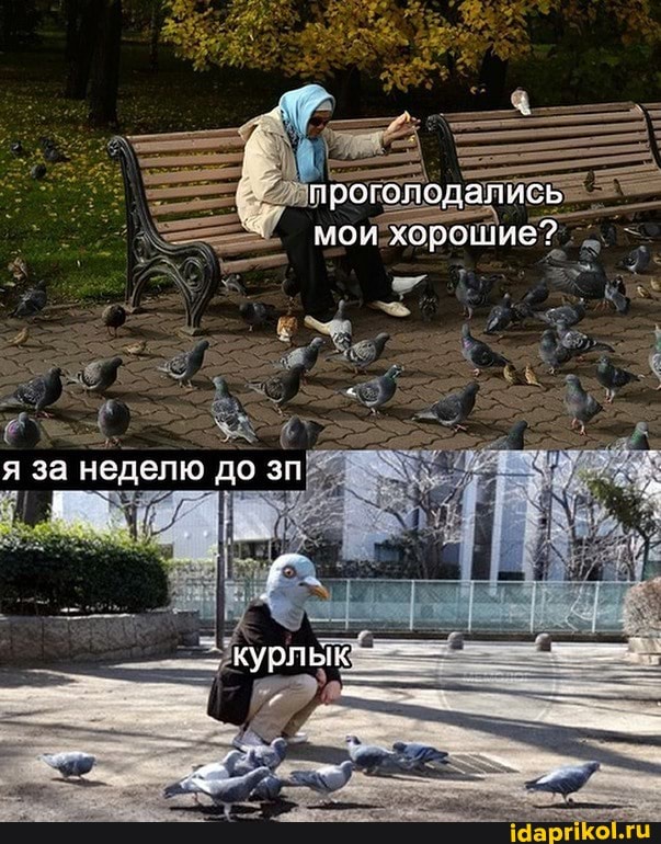 проголодались мои хорошие?