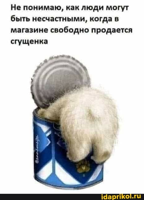 Не понимаю, как люди могут быть несчастными, когда в магазине свободно продается сгущенка