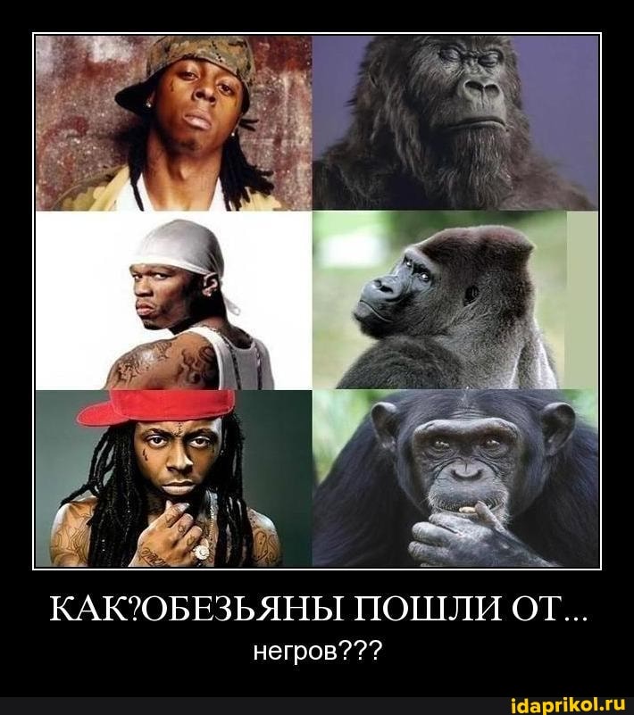 ПОШЛИ ОТ...
негров???