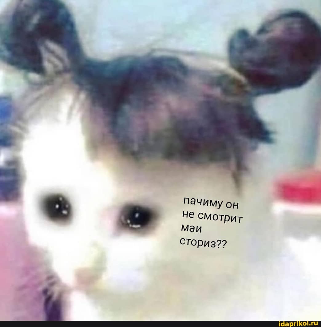 ЕВА
не смотрит