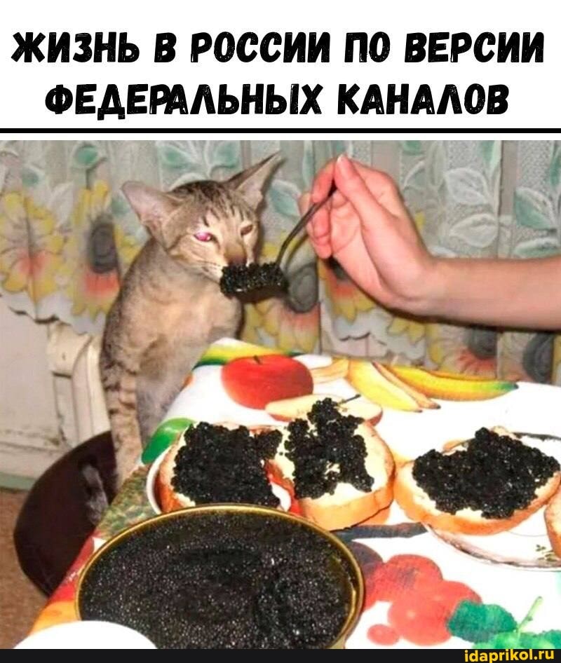 ЖИЗНЬ В РОССИИ ПО ВЕРСИИ ФЕДЕРАЛЬНЫХ КАНАЛОВ