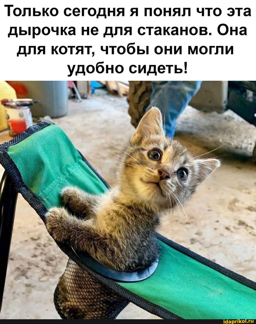 Только сегодня я понял что эта дырочка не для стаканов. Она для котят, чтобы они могли удобно сидеть!