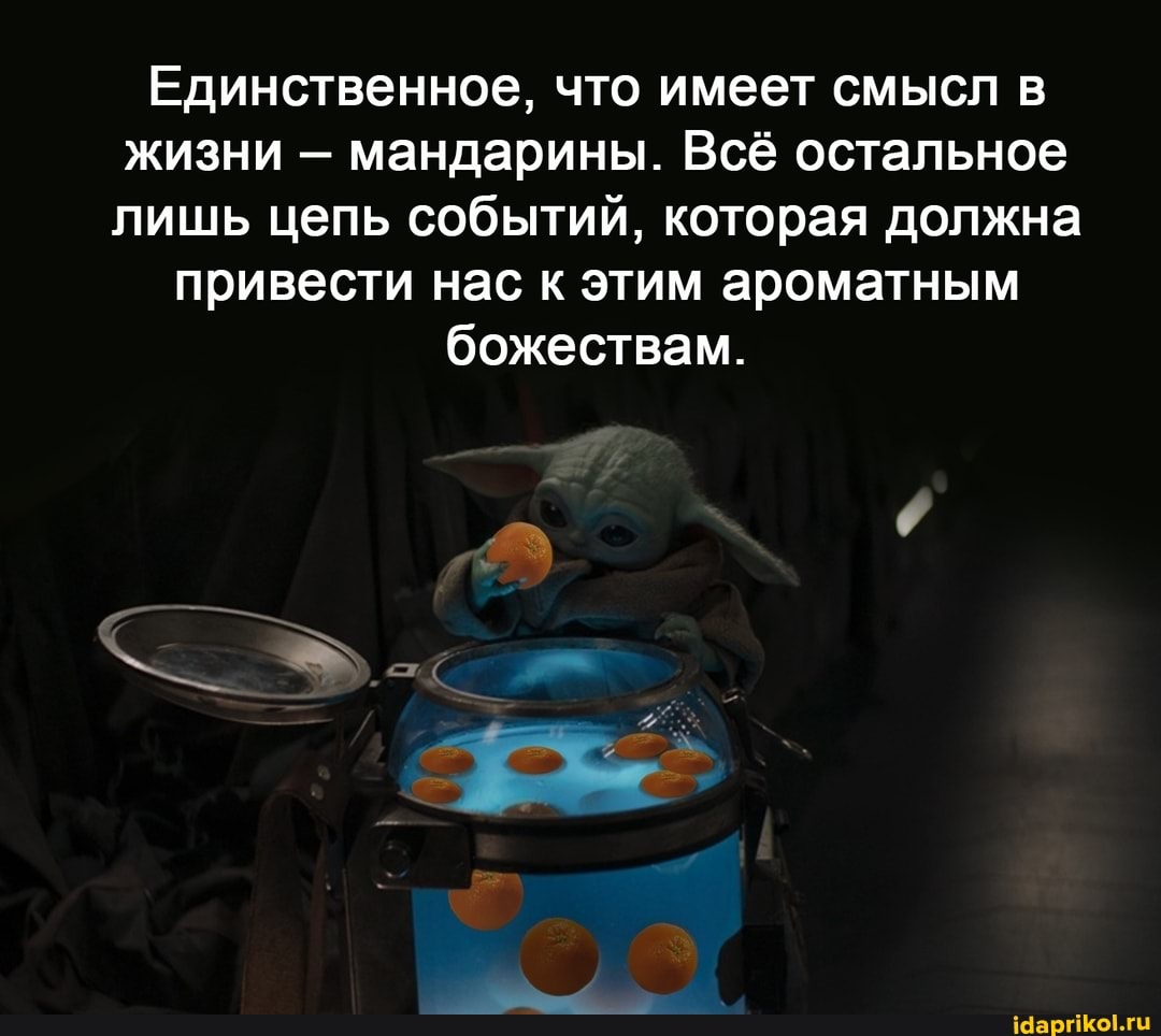 Единственное, что имеет смысл в жизни - мандарины. Всё остальное лишь цепь событий, которая должна
привести нас к этим ароматным божествам.