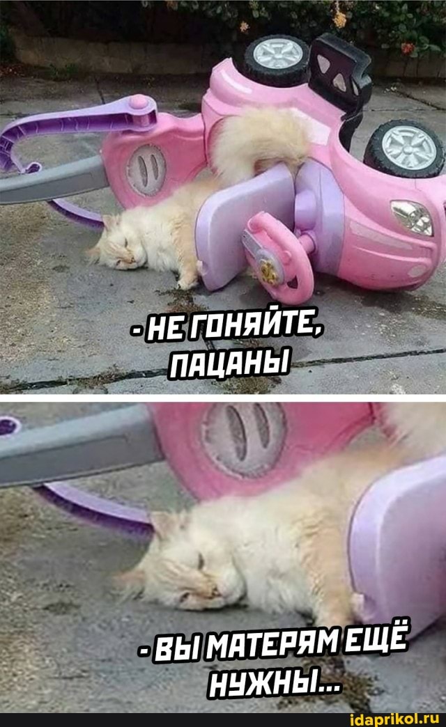 - НЕ ГОНЯЙТЕ,
ПАЦАНЫ
ВЫ МАТЕРЯМ ЕЩЁ НУЖНЫ...