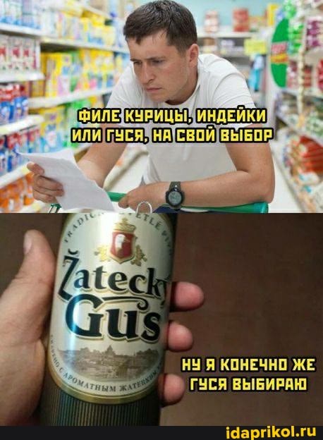 НЫ Я КОНЕЧНО ЖЕ ГУСЯ ВЫБИРАЮ