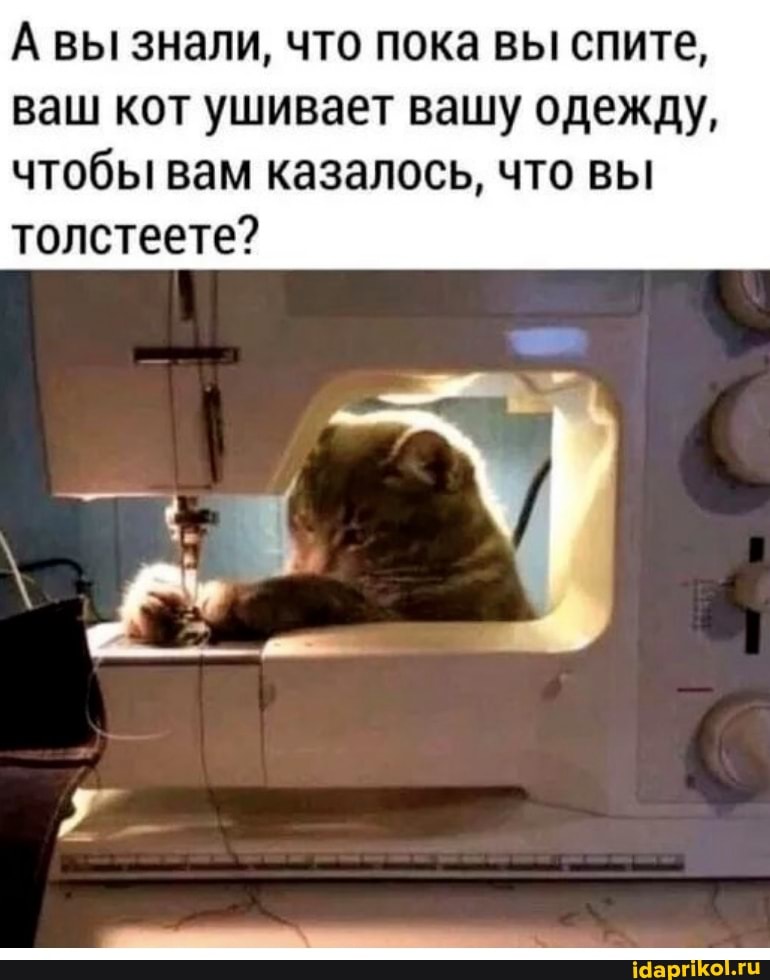 А\ вы знали, что пока вы спите,
ваш кот ушивает вашу одежду, чтобы вам казалось, что вы толстеете?