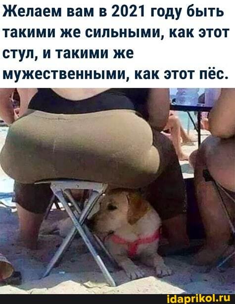 Желаем вам в 2021 году быть такими же сильными, как этот стул, и такими же мужественными, как этот пёс.