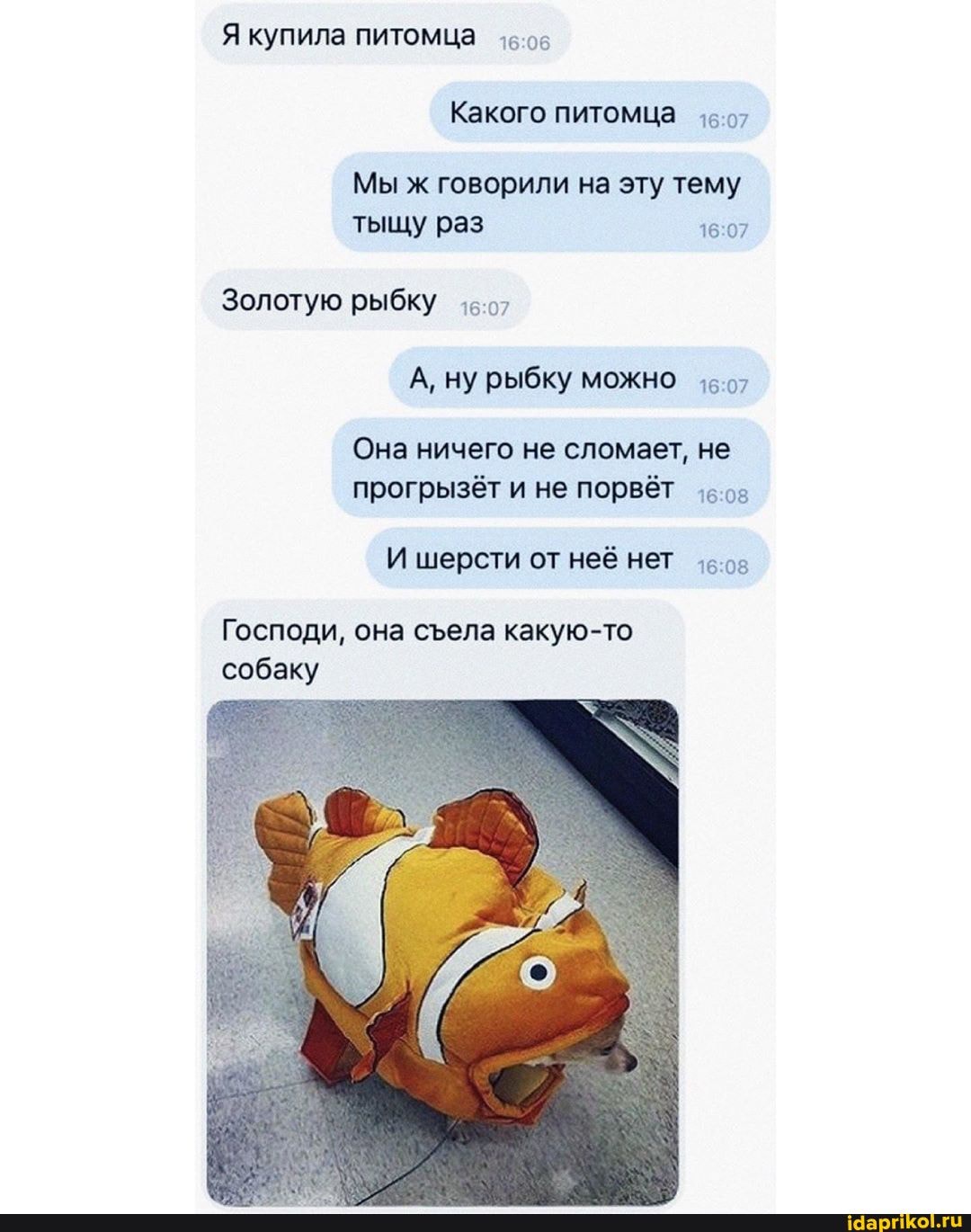 Какого питомца +5.'
Мы ж говорили на эту тему
А, ну рыбку можно +507
Она ничего не сломает, не
прогрызёт порвёт
И шерсти от неё нет
Господи, она съела какую-то
собаку
