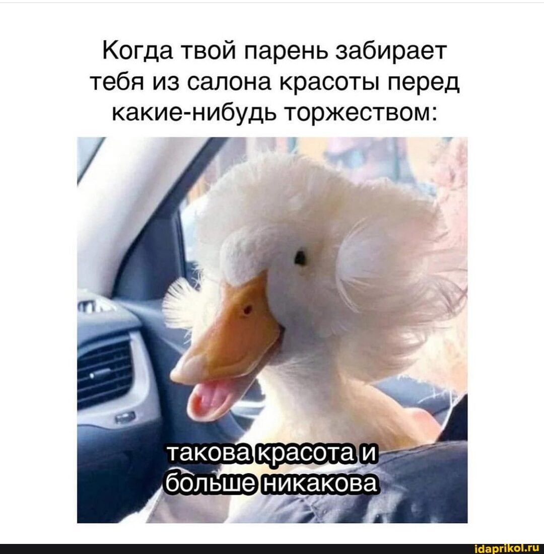 Когда твой парень забирает тебя из салона красоты перед какие-нибудь торжеством:
болешеникакова