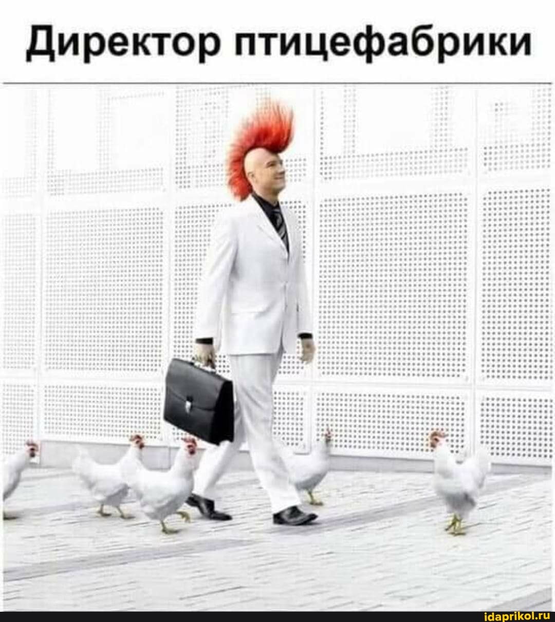 Директор птицефабрики
