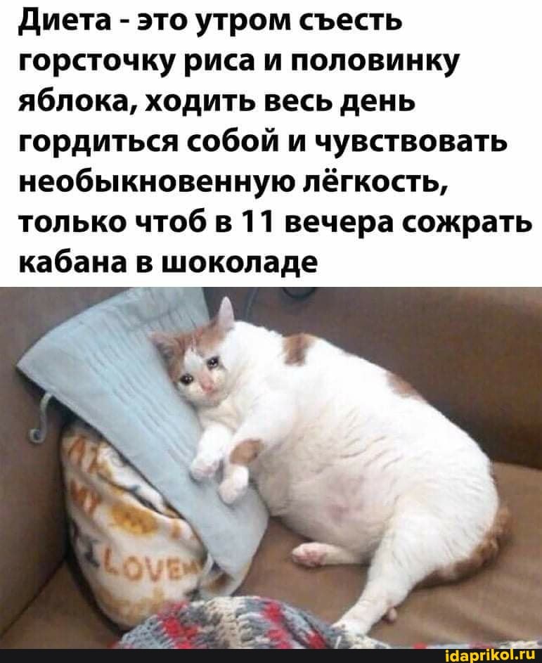 Диета - это утром сесть горсточку риса и половинку яблока, ходить весь день гордиться собой и чувствовать необыкновенную лёгкость, только чтоб в 11 вечера сожрать кабана в шоколаде