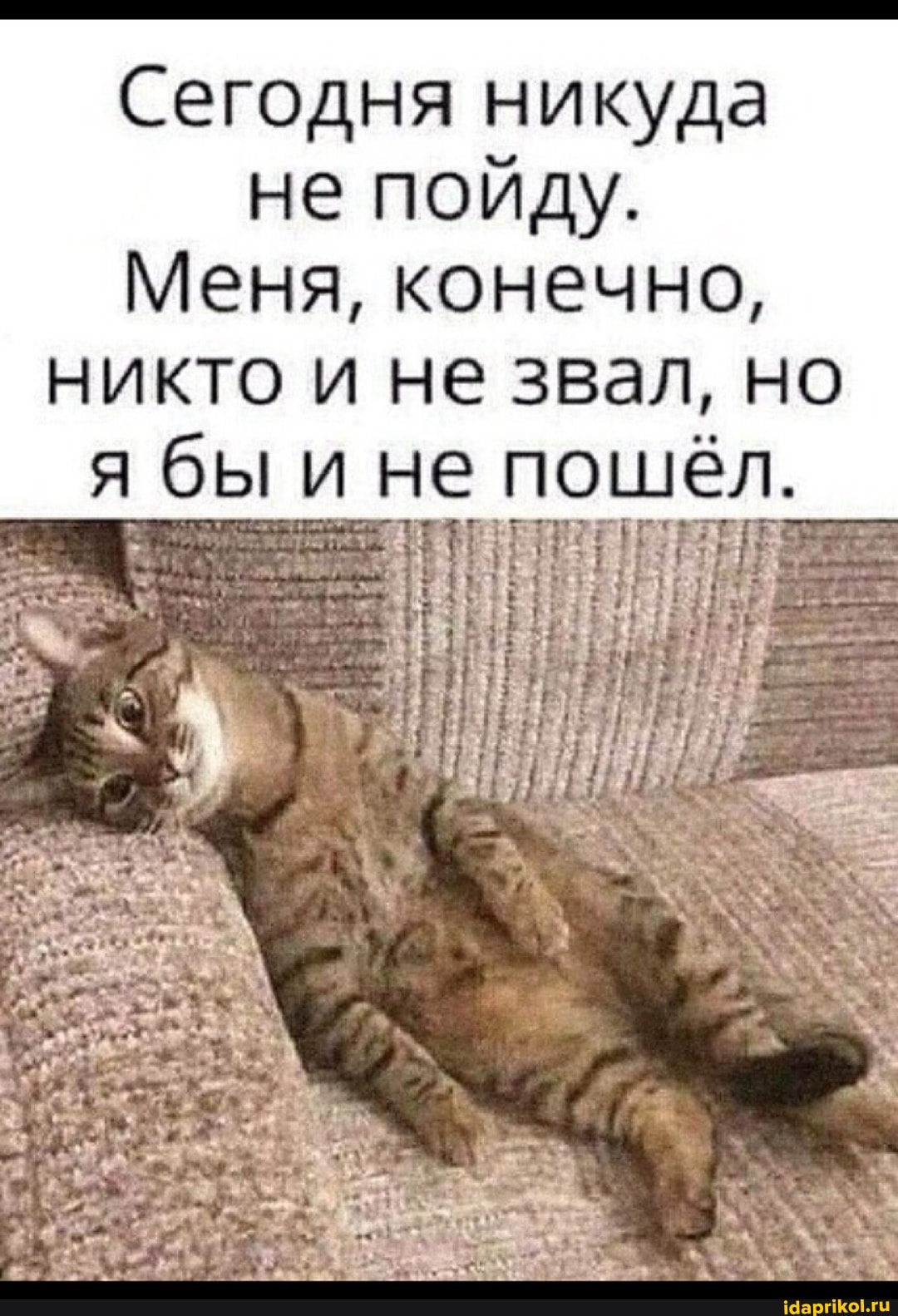 Сегодня никуда не пойду.
Меня, конечно, и не звал, но я бы не пошел,
` `