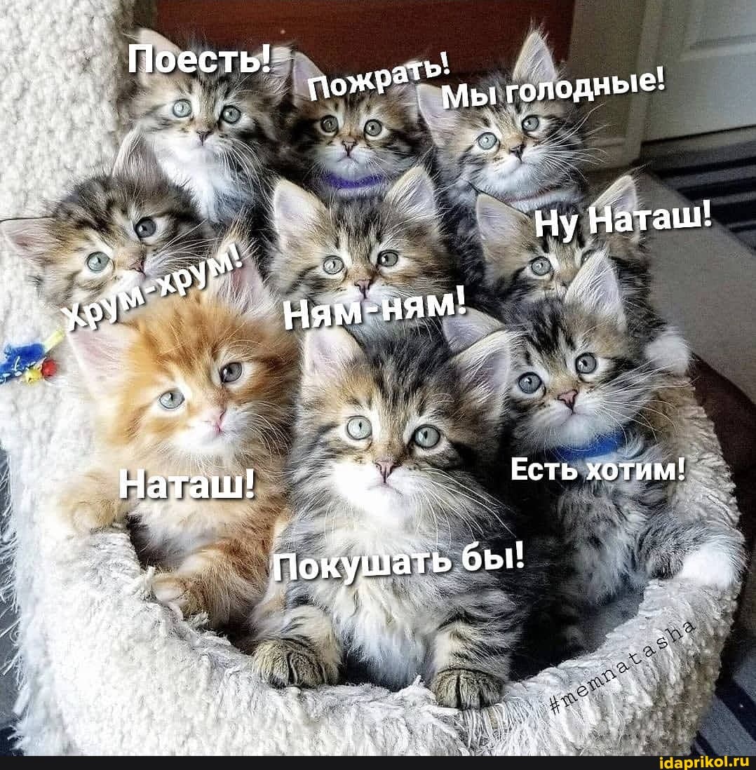Мы голодные
Ну Наташ'
