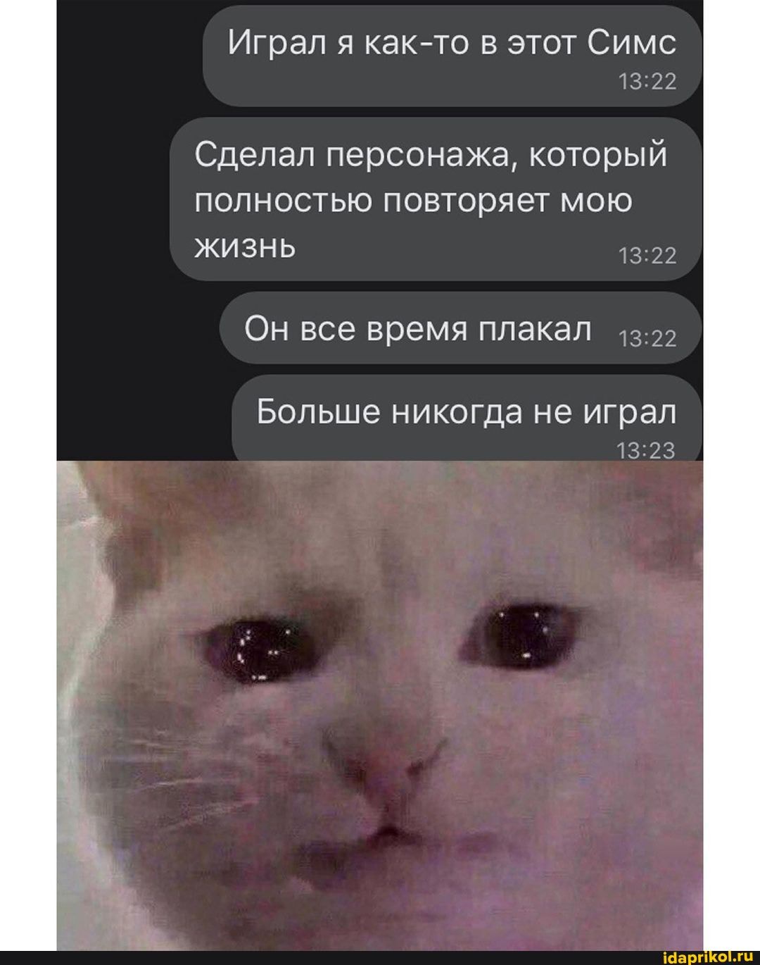 Играл я как-то в этот Симс
Сделал персонажа, который полностью повторяет мою
ЖИЗНЬ
Он все время плакал
I Больше никогда не играл