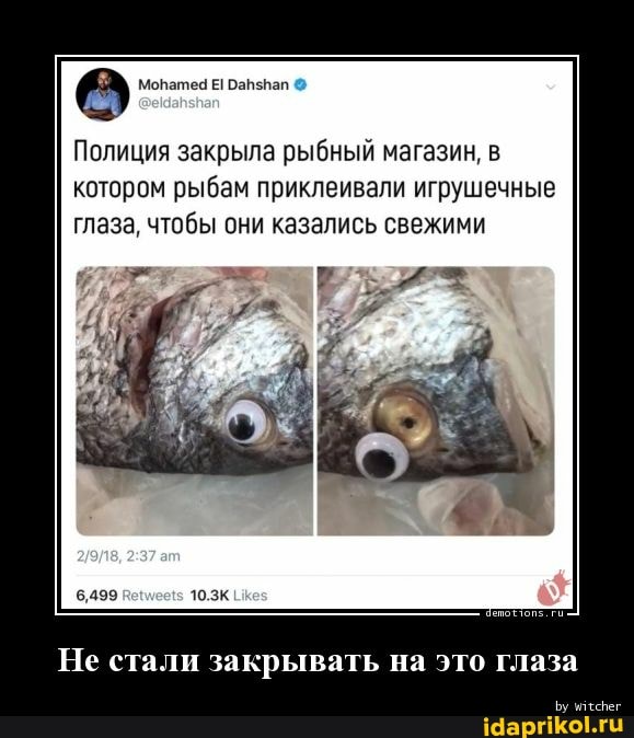A
Полиция закрыла рыбный магазин, в
котором рыбам приклеивали игрушечные
глаза, чтобы они казались свежими