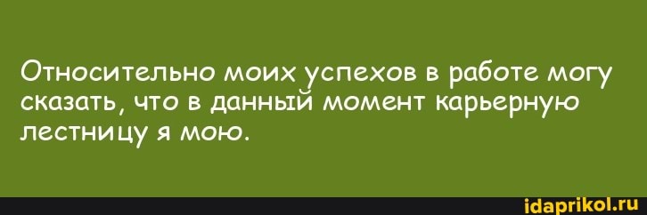 Относительно моих успехов в работе могу сказать, что в данный момент карьерную лестницу я мою.