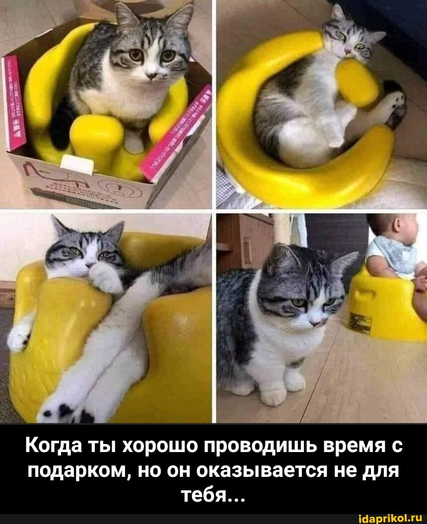 Когда ты хорошо проводишь время подарком, но он оказывается не для тебя... - Когда ты хорошо проводишь время с подарком, но он оказывается не для тебя...