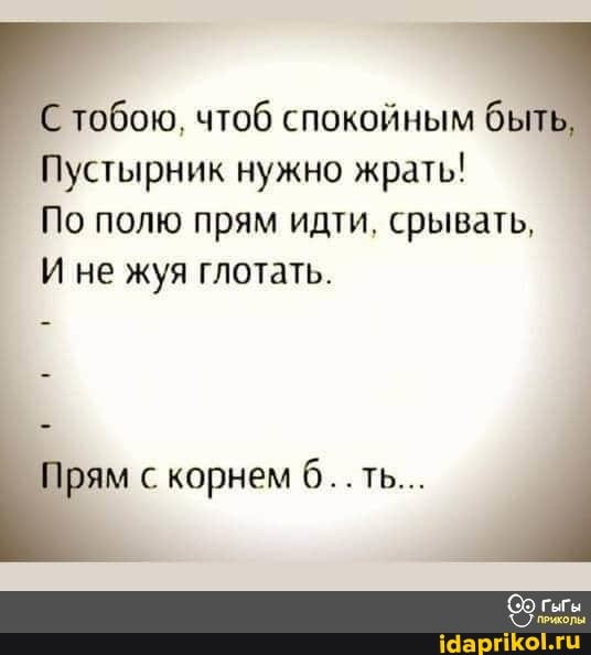тобою, чтоб спокойным быть,
Пустырник нужно жрать!
По полю прям идти, срывать,
И не жуя глотать,
Прям с корнем б. ть...
гыгы
приколы: