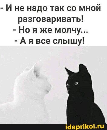 - Ине надо так со мной разговаривать!
- Ноя же молчу...
- Ая все слышу!