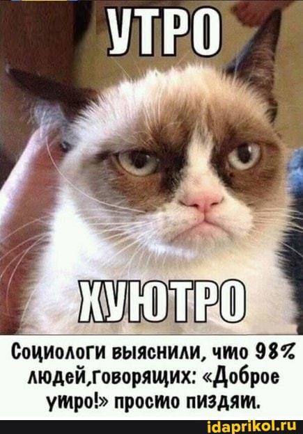 УТРО
УЮТРО
Социологи выяснили, чмо 98% людей, говорящих: "Доброе утро!" просшо пиздям.