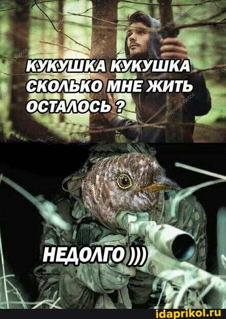 КУКУШКА КУКУШКА скол МНЕ ЖИТЬ ОСТАЛОСЬ ?
НЕДОЛГО