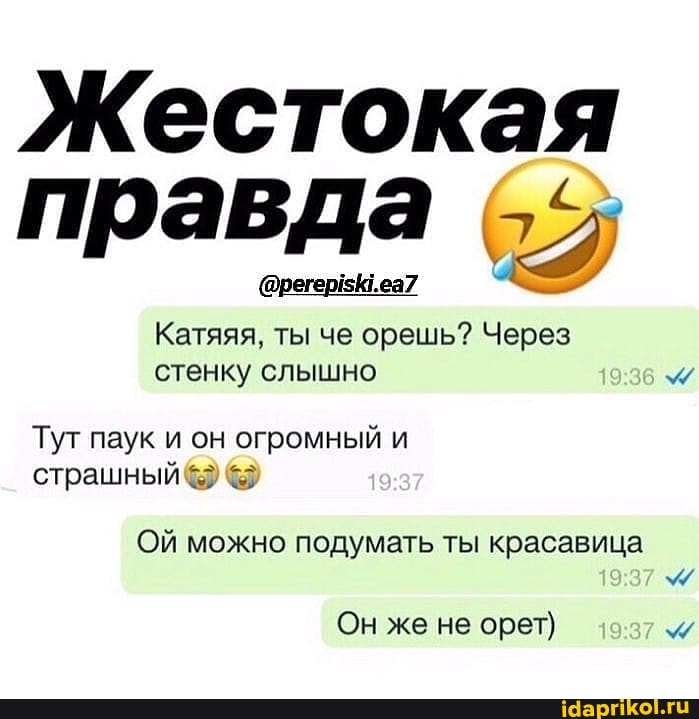 Жестокая правда
@регерКГ.еа7
Катяяя, ты че орешь? Через стенку слышно
Тут паук и он огромный и страшный
Ой можно подумать ты красавица
Он же не орет) 19.37