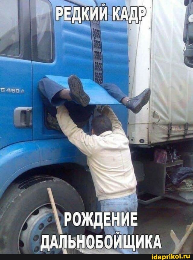 РЕДКИЙ
РОЖДЕНИЕ ДАЛЬНОБОЙЩИКА