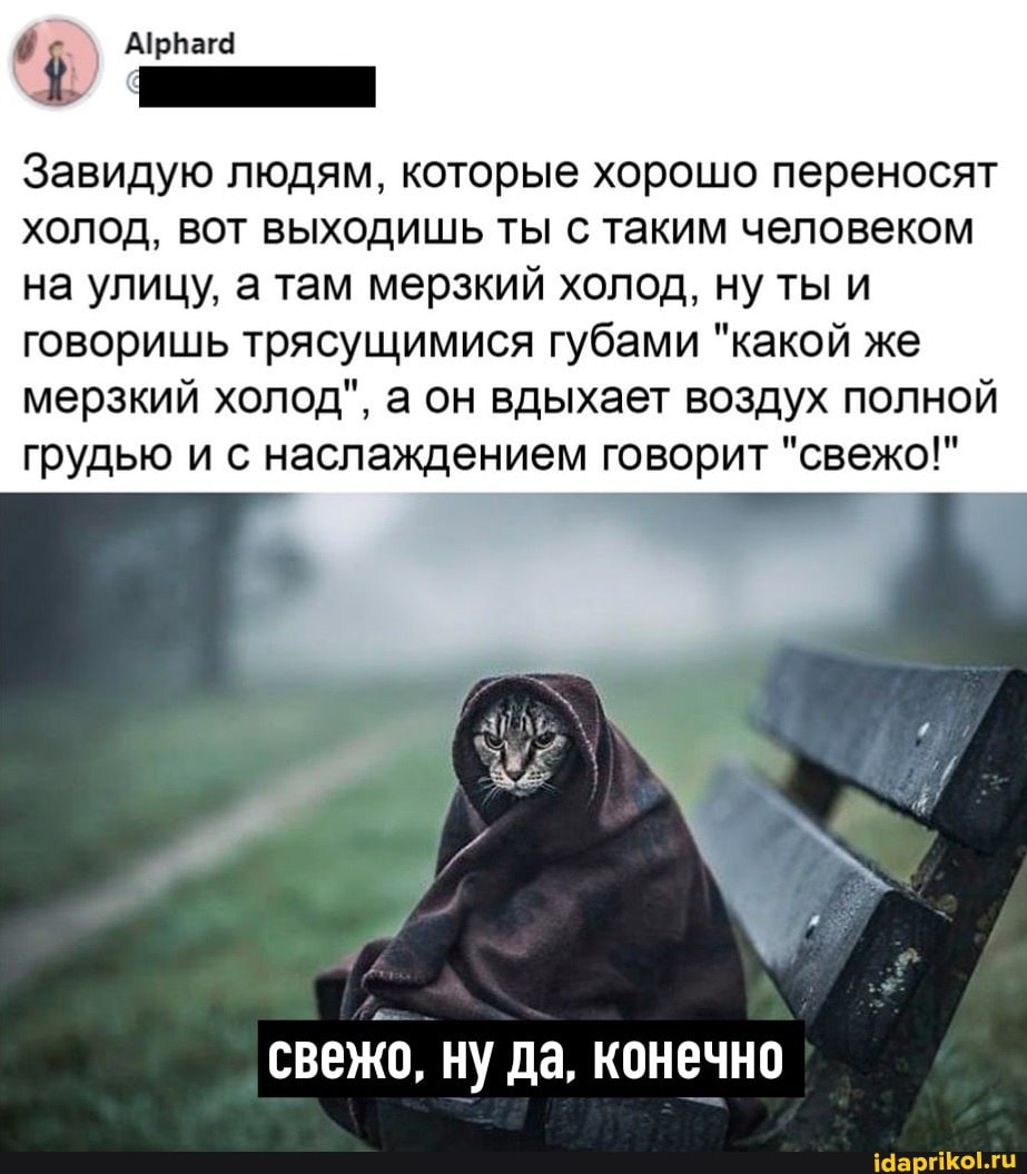Завидую людям, которые хорошо переносят холод, вот выходишь ты с таким человеком на улицу, а там мерзкий холод, ну ты и говоришь трясущимися губами "какой же мерзкий холод", а он вдыхает воздух полной грудью и с наслаждением говорит "свежо!"
свежо, ну да, конечно